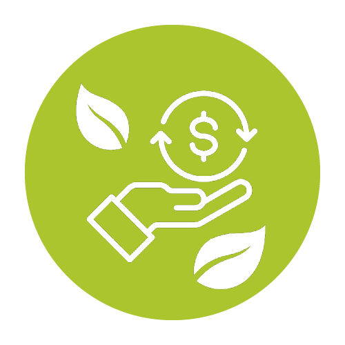 Financial Sustainability and Diversification